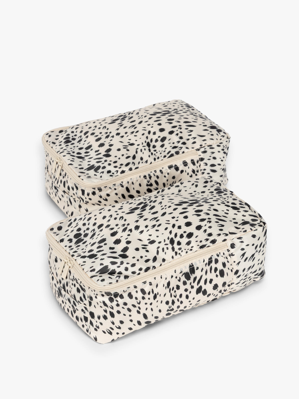 SNOW LEOPARD